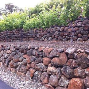 Moss Rock Wall