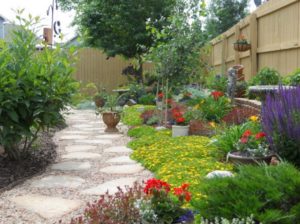 Sutherland Landscape xeriscape backyard inspiration for water saving landscaping