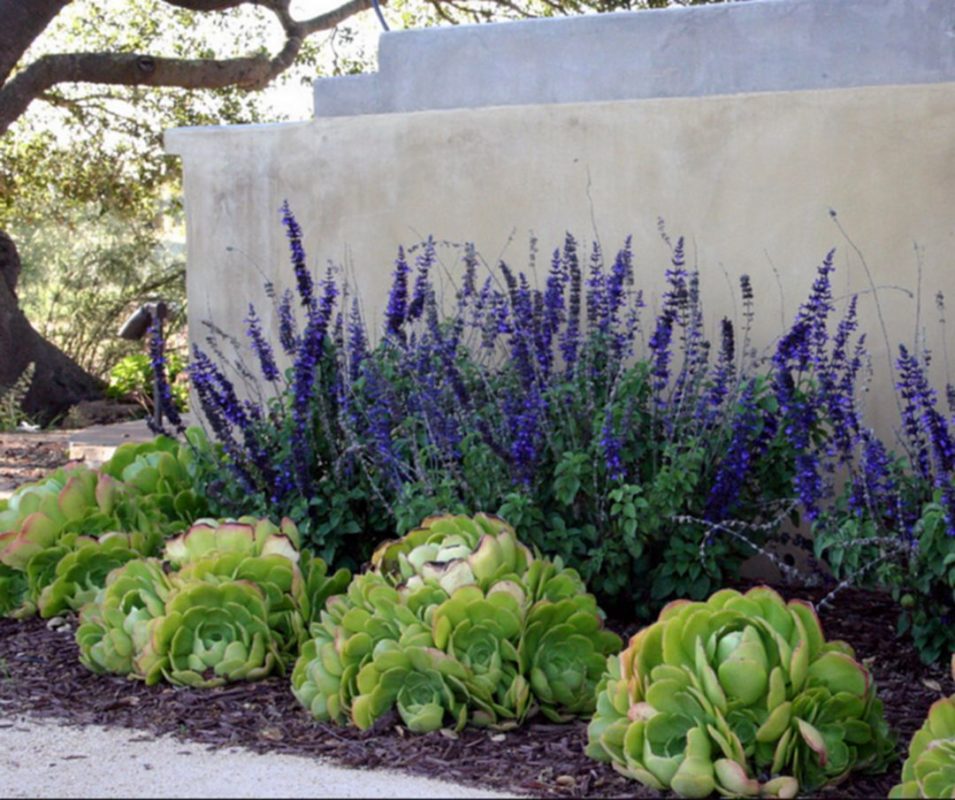 Photo Gallery From Sutherland Landscape, Northern California Front Yard Landscaping Ideas