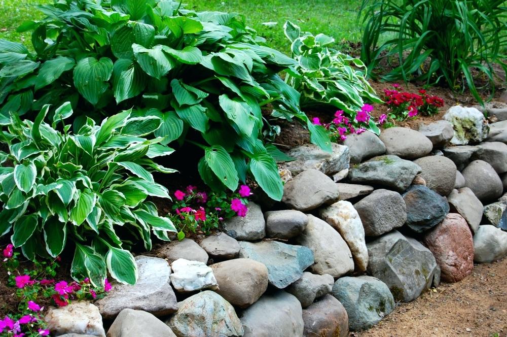 Rock wall shade garden with Hostas by Sutherland Landscape