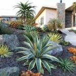 Fire safe contemporary landscape by Sutherland Landscaping in Chico CA